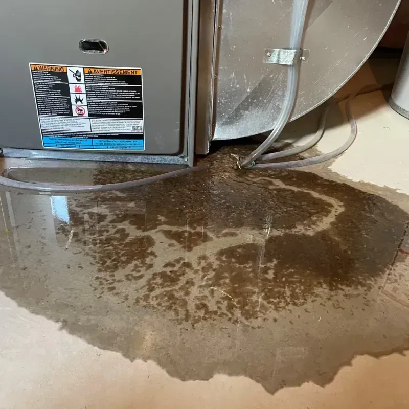 Appliance Leak Cleanup in Chattahoochee, FL